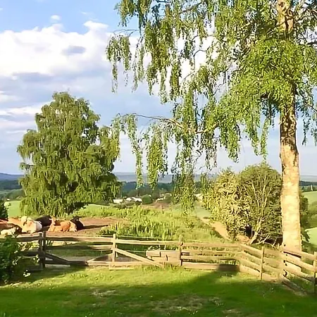 Holiday home 1 Bedroom Beautiful In *