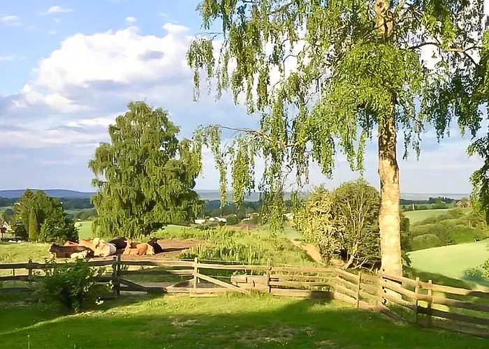 Casa de Férias 1 Bedroom Cozy In *